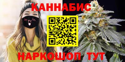 шишки Апшеронск