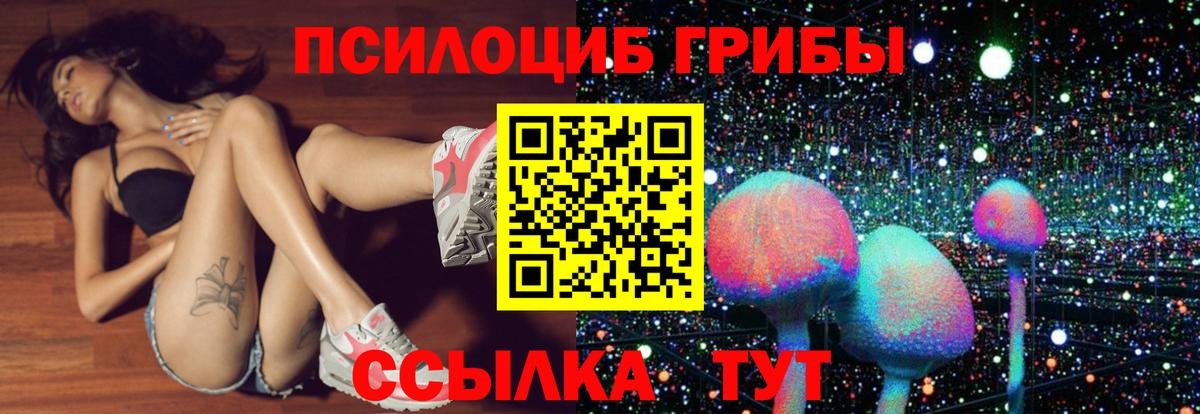 Псилоцибиновые грибы Cubensis  хочу   Луховицы  Вход с VPN 
