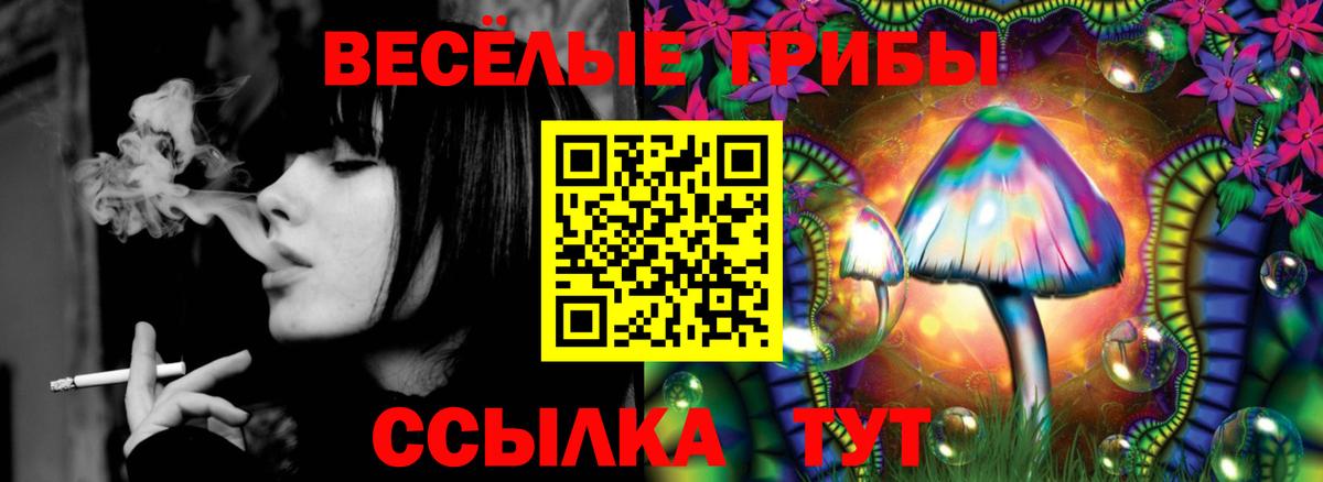 Псилоцибиновые грибы мицелий  Псилоцибиновые грибы Psilocybine cubensis  Луховицы 