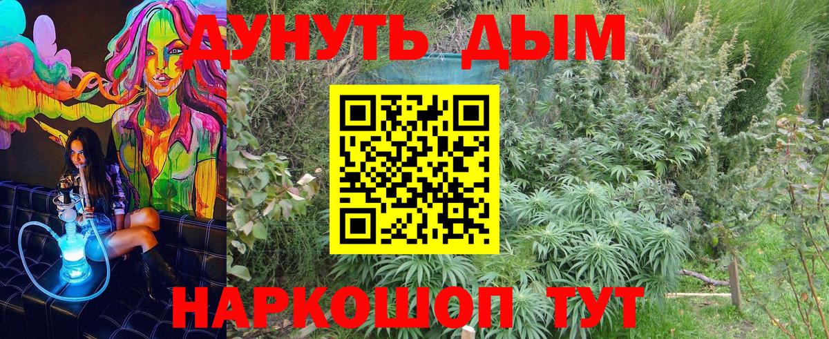 Шишки марихуана MAZAR  Марихуана семена  Луховицы  Бошки марихуана марихуана 